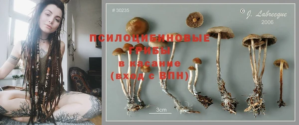 MDMA Приозерск