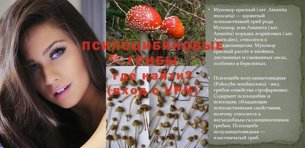 MDMA Приозерск