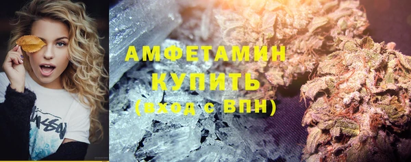 гашик Россошь